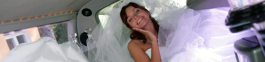 los angeles wedding limo, los angeles party bus
